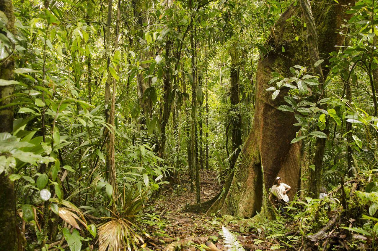 Jardin Botanico Del Pacifico Y Mecana Ecohotel Баия-Солано Экстерьер фото